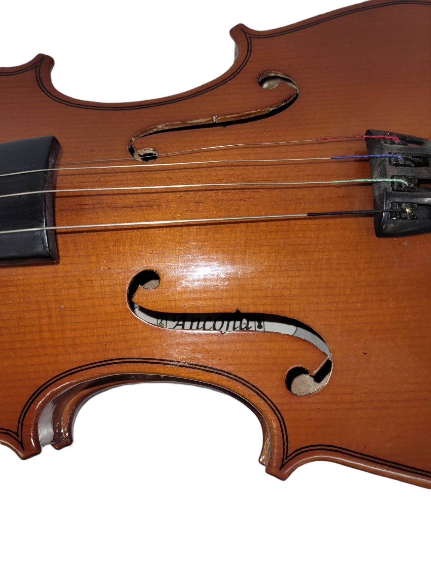 antique violin ancona violin stringed musical instrument