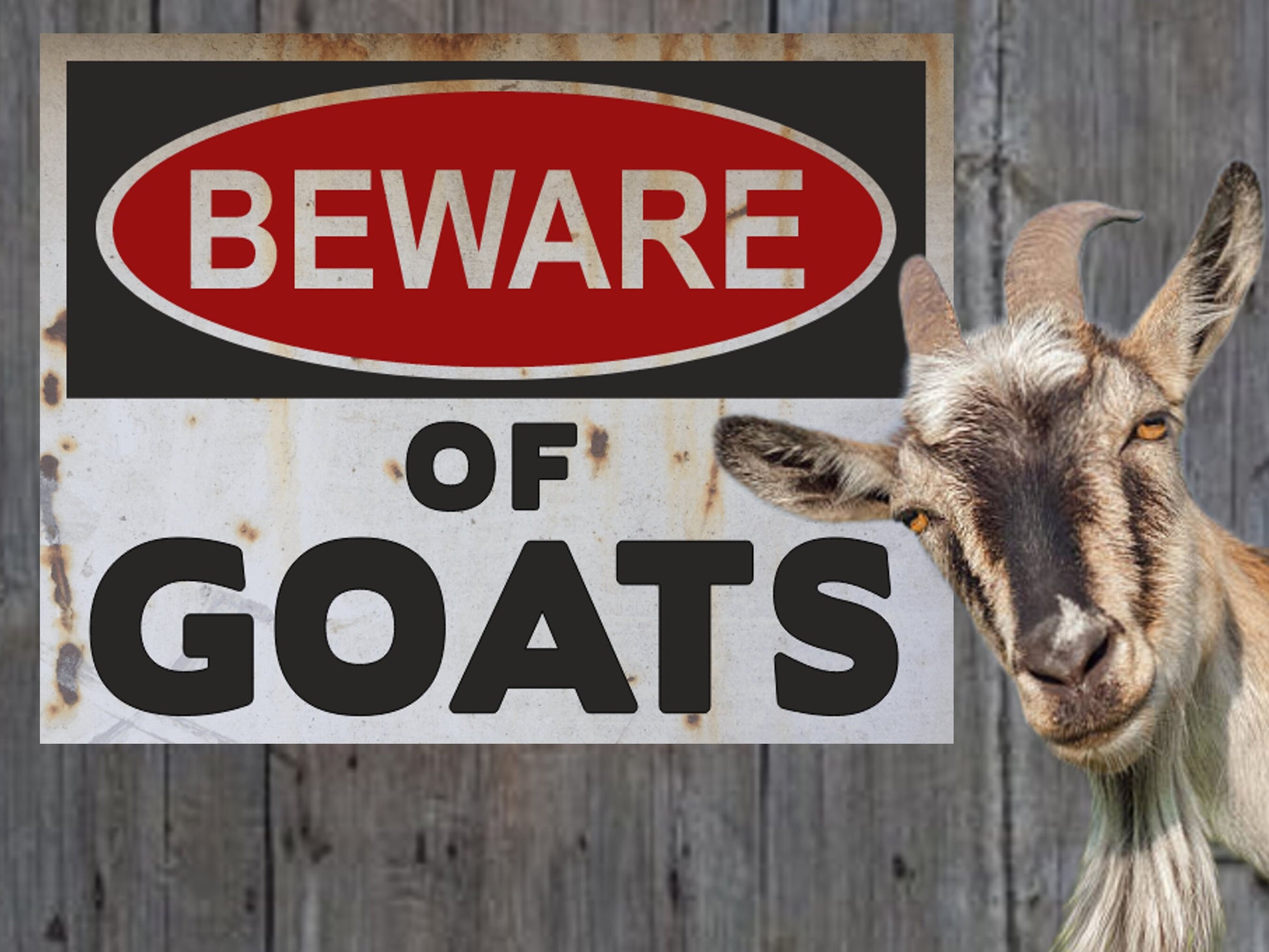 beware of goats warning sign farmers gift sign