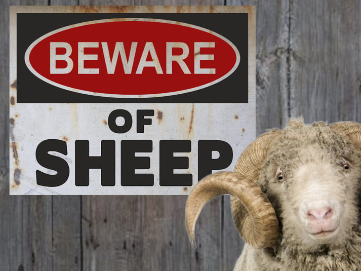 Beware of Sheep Warning Sign Farm Sign – Wainfleet Trading Post