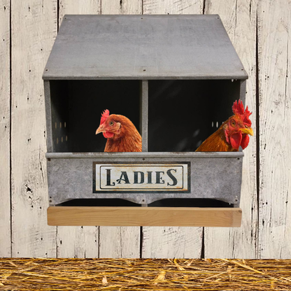 Chicken Nesting Box Commercial Quality Backyard Chickens
