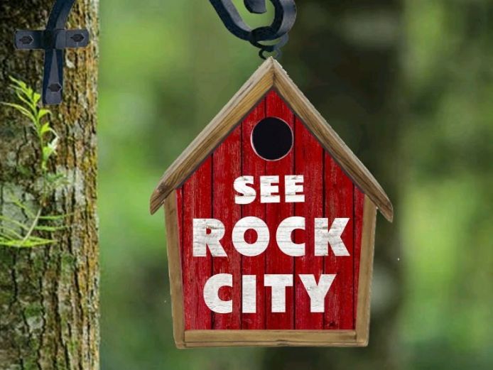 Rock City Birdhouse Bird House Handmade Custom Design